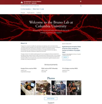 Bruno Lab Site Screenshot