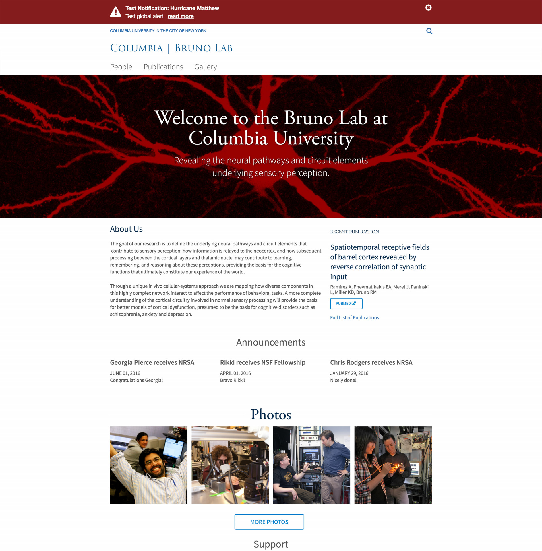 Bruno Lab Site Screenshot