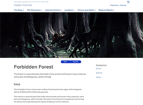 Characaters of the Harry Potter series walk through a dark forbidden forest