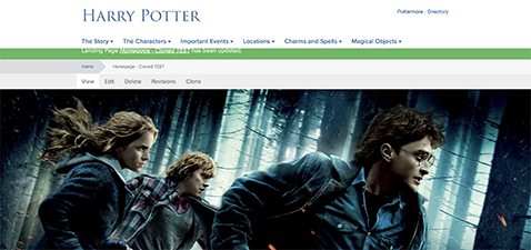 harry potter and friends run through the forest dressed in dark clothing