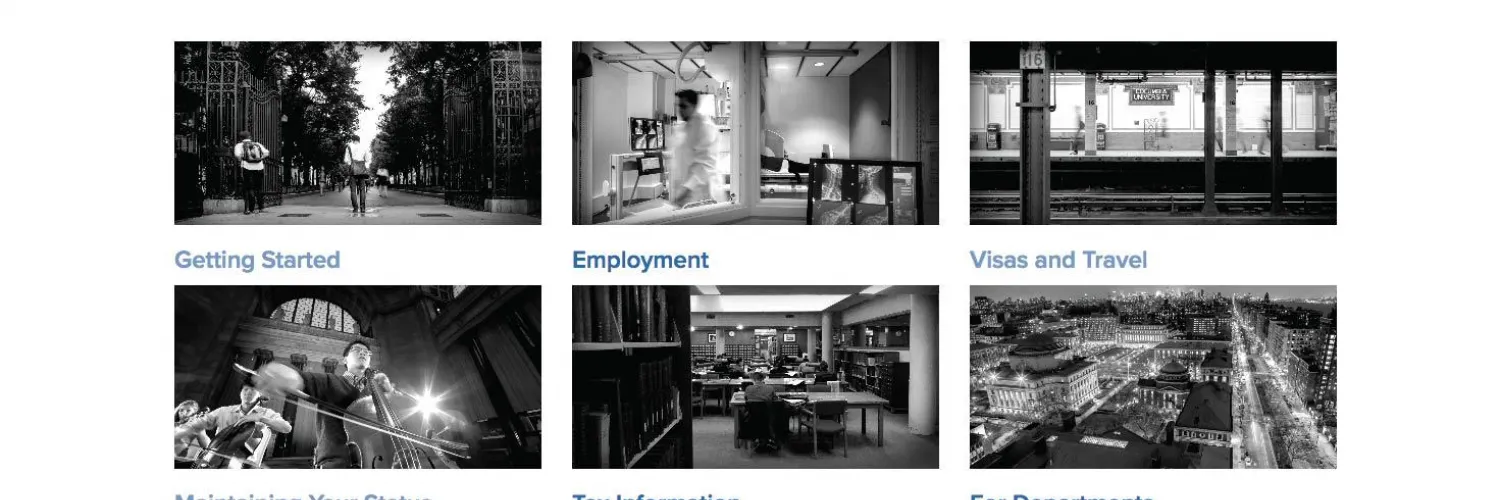 6 Image Cards in a Full-Width Section rendered