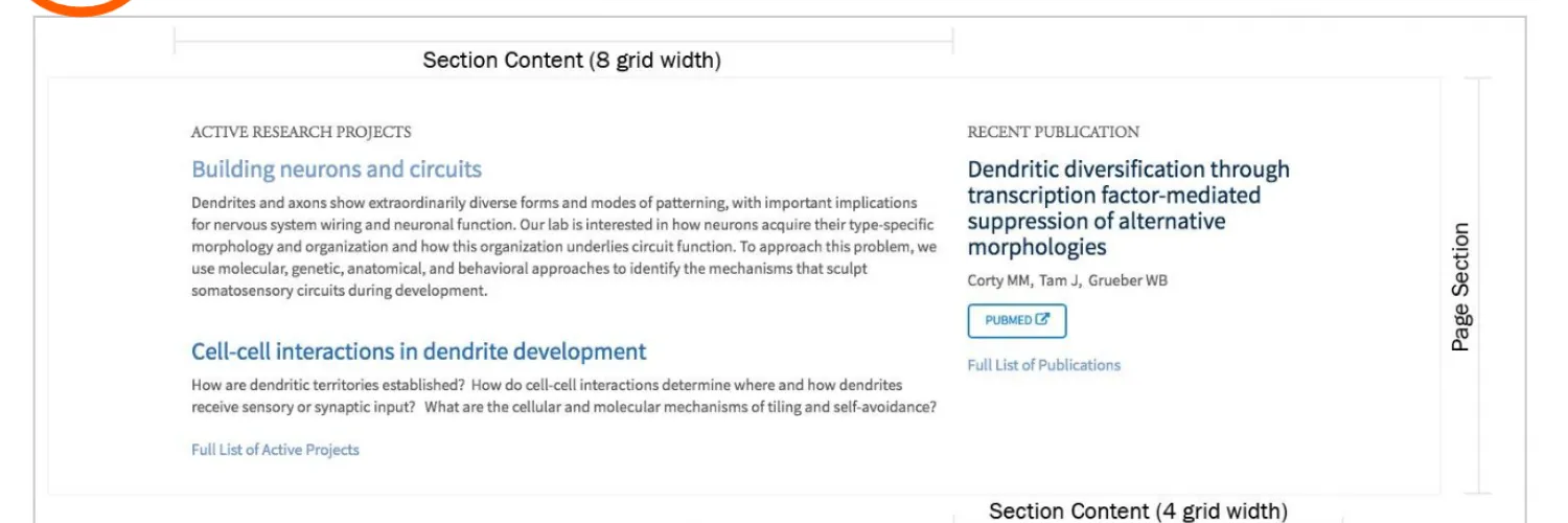 the anchor link on the left of the image