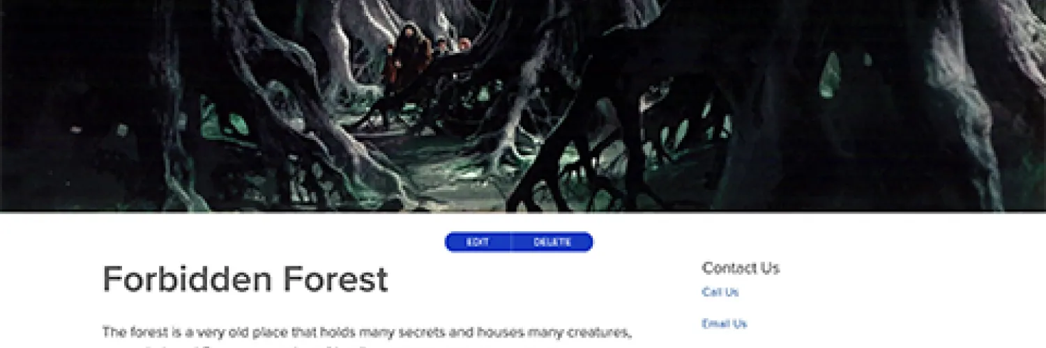 Characaters of the Harry Potter series walk through a dark forbidden forest