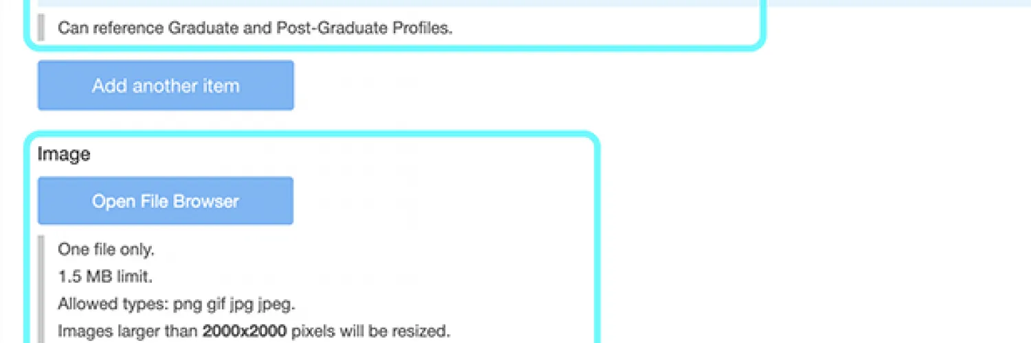 Text highlighting the fields needing completion within a dissertation 