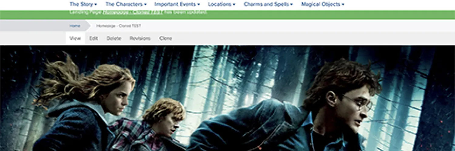 harry potter and friends run through the forest dressed in dark clothing