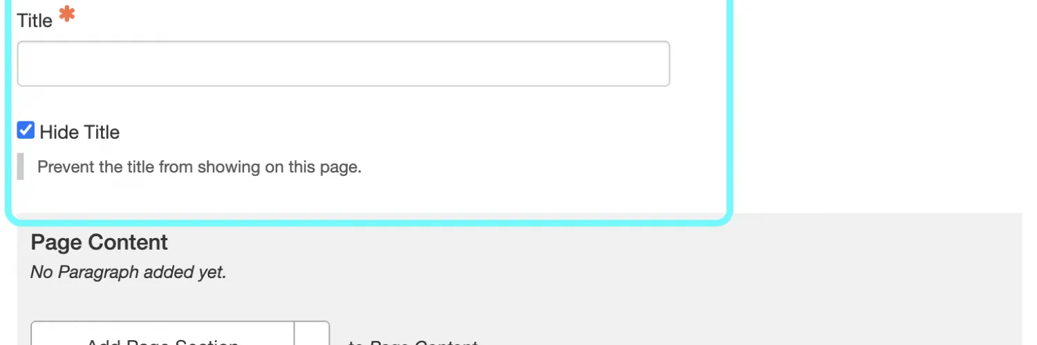 Text detailing title field and hide title checkbox