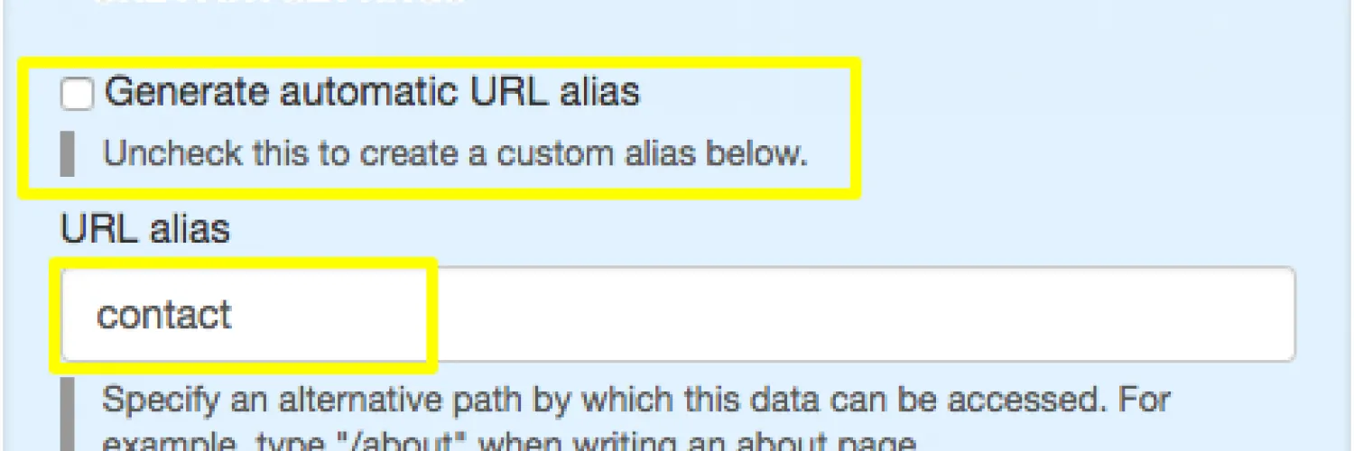 Uncheck Generate automatic URL alias