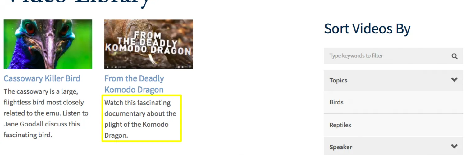 Video summary render