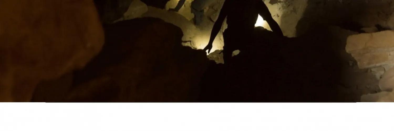 example of header not displayed on scroll